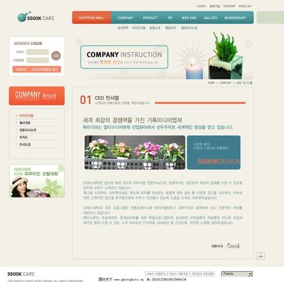 女性護(hù)理設(shè)計(jì)網(wǎng)頁與網(wǎng)站模板 關(guān)鍵要素與視覺策略